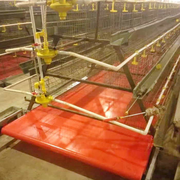 PVC自動清糞機 (6).jpg