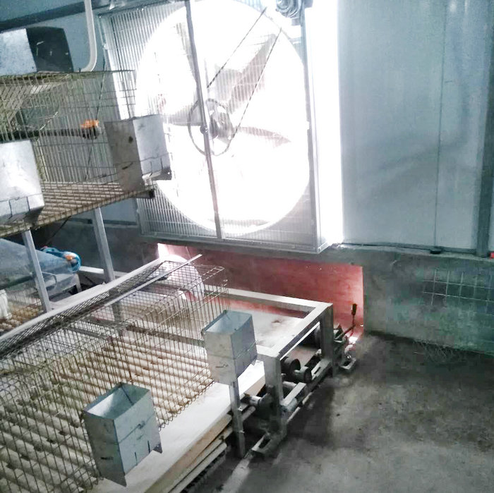 兔用自動(dòng)清糞機(jī) (2).jpg