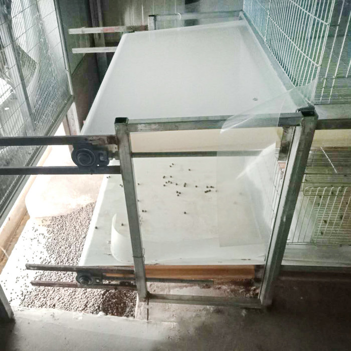 兔用自動(dòng)清糞機(jī) (1).jpg