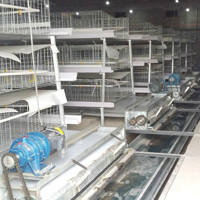 PP清糞帶蛋雞清糞機(jī) (4).jpg