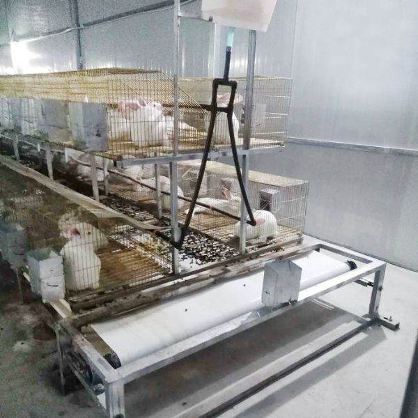 兔用自動清糞機