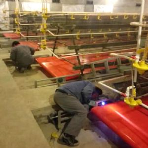 PVC帶蛋雞清糞機(jī)