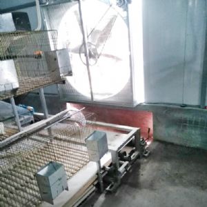 兔用自動(dòng)清糞機(jī)